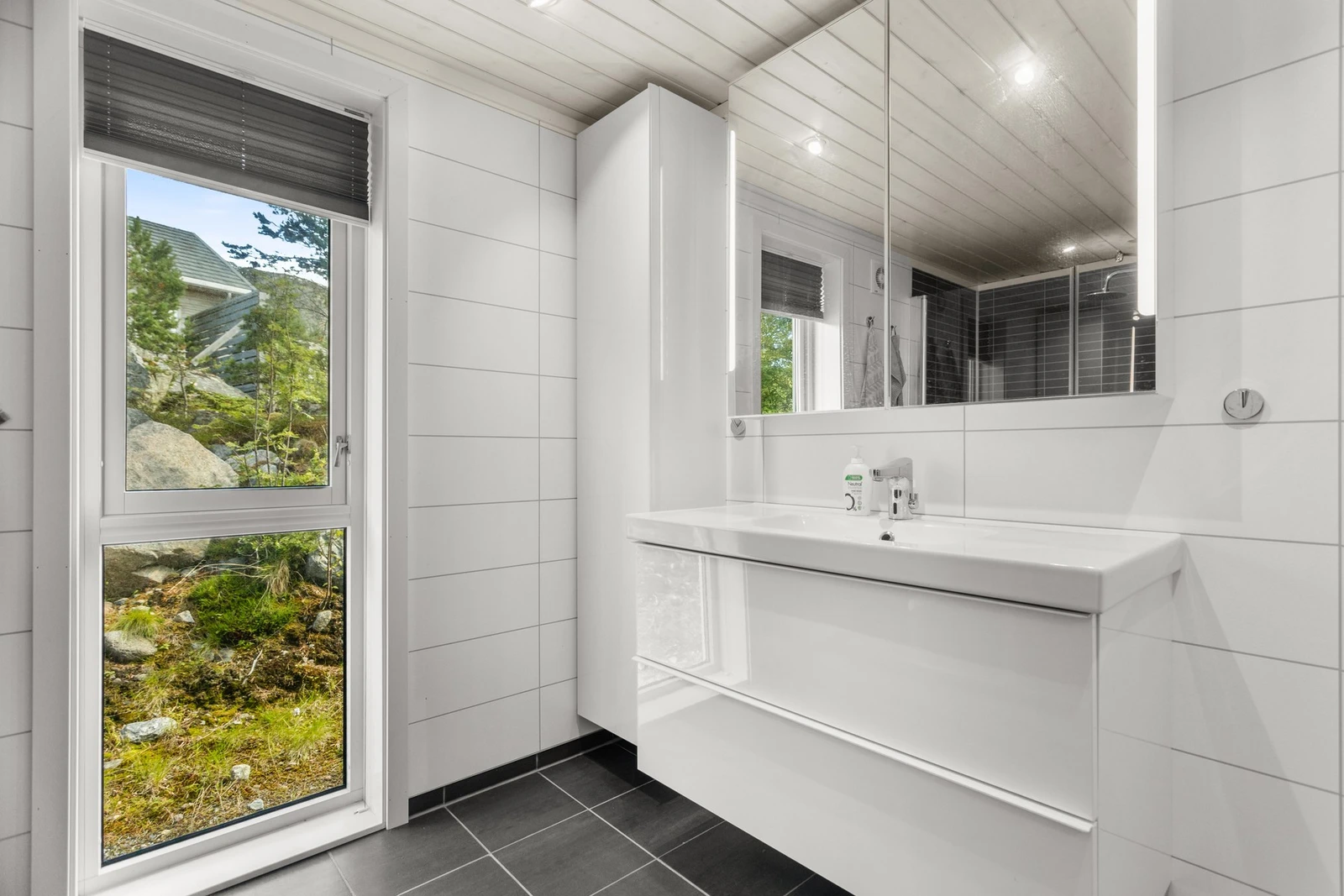 Utstyrt med servantskap, toalett og dusj. Galleribilde