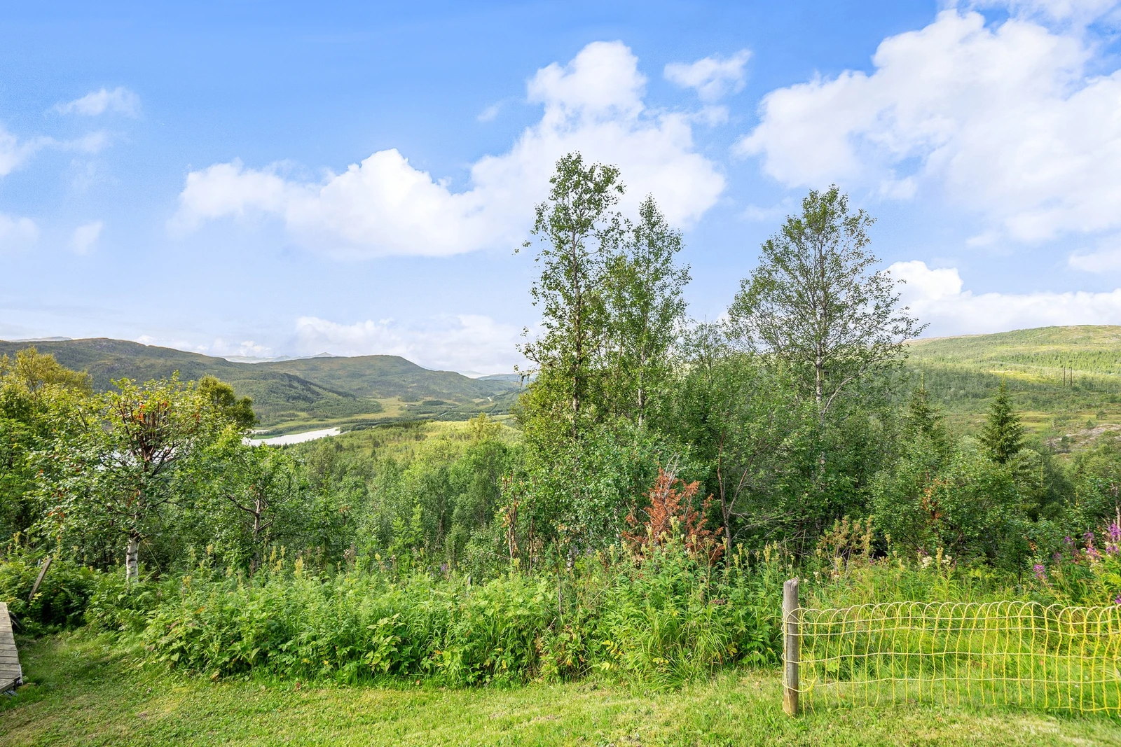 Velkommen til en trivelig EIE-visning! Galleribilde