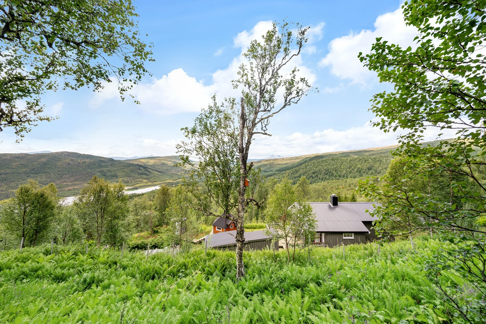Hyggelig fritidsbolig i skjønne, naturnære omgivelser Galleribilde