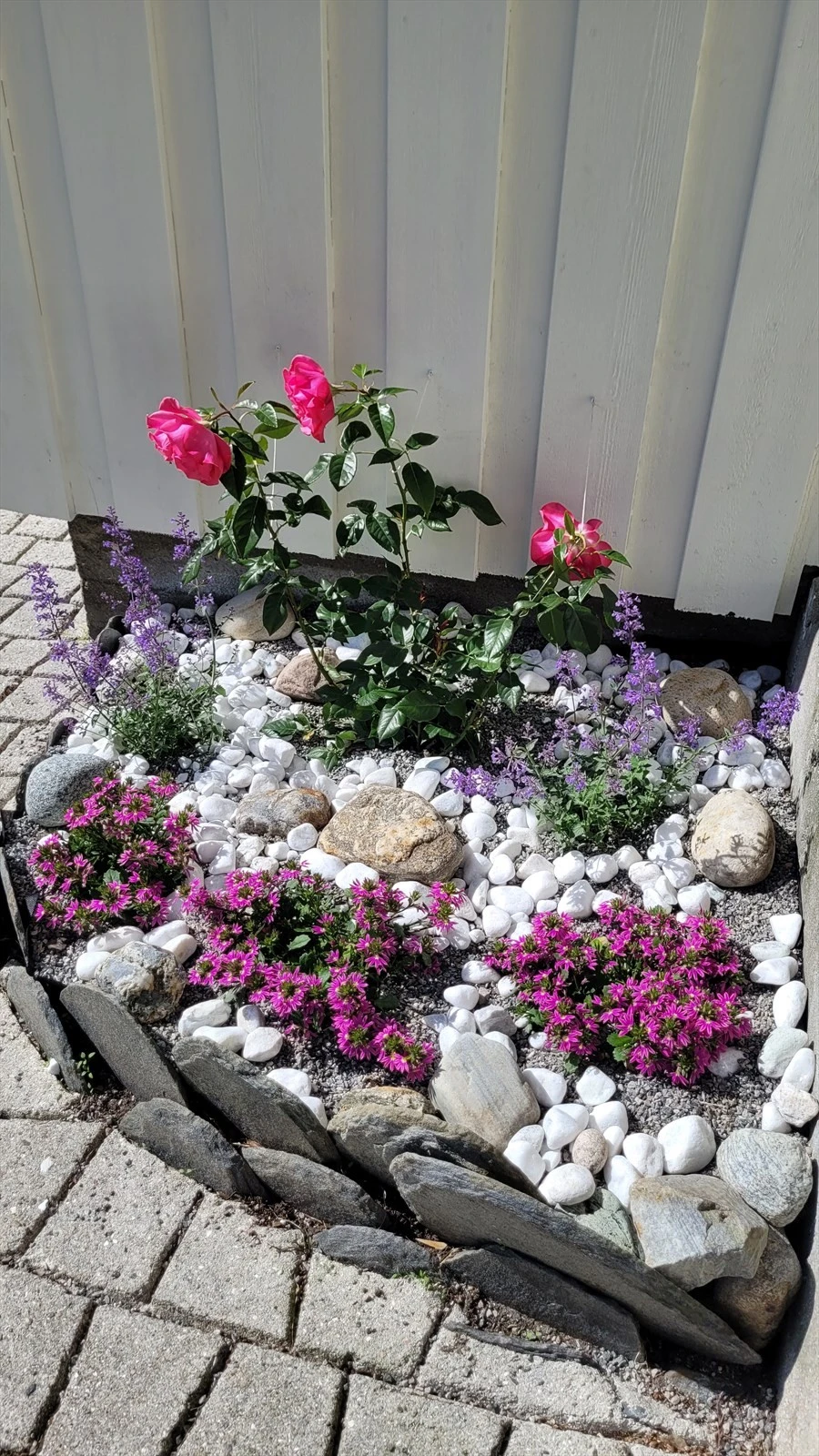 20240704_110159.jpg Galleribilde