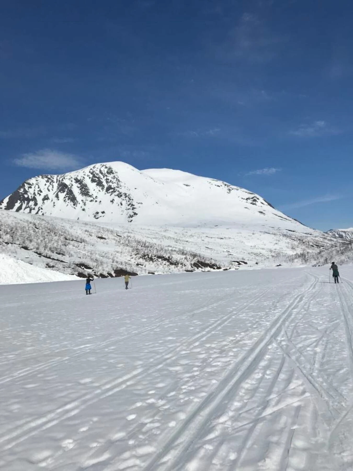 Bilde tatt av selger Galleribilde