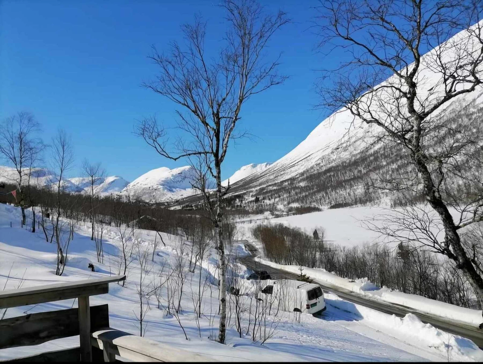 Bilde tatt av selger Galleribilde