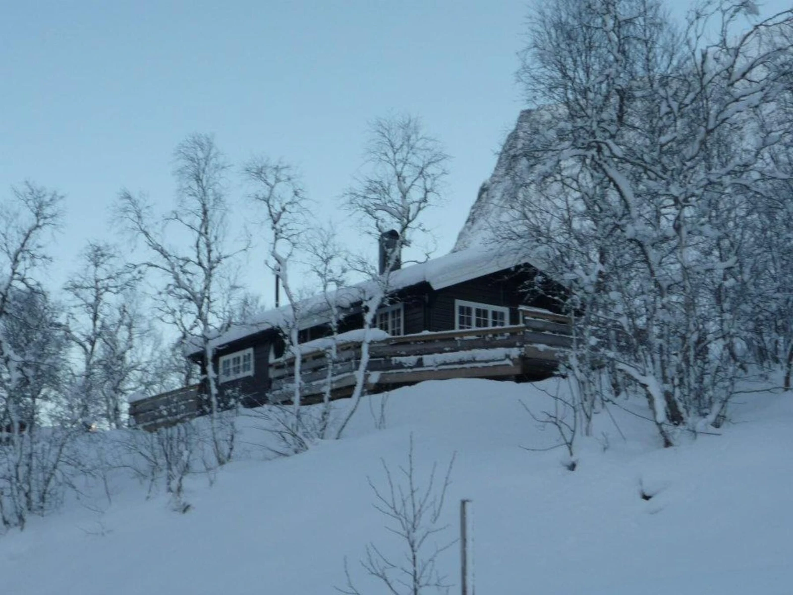 Bilde tatt av selger Galleribilde