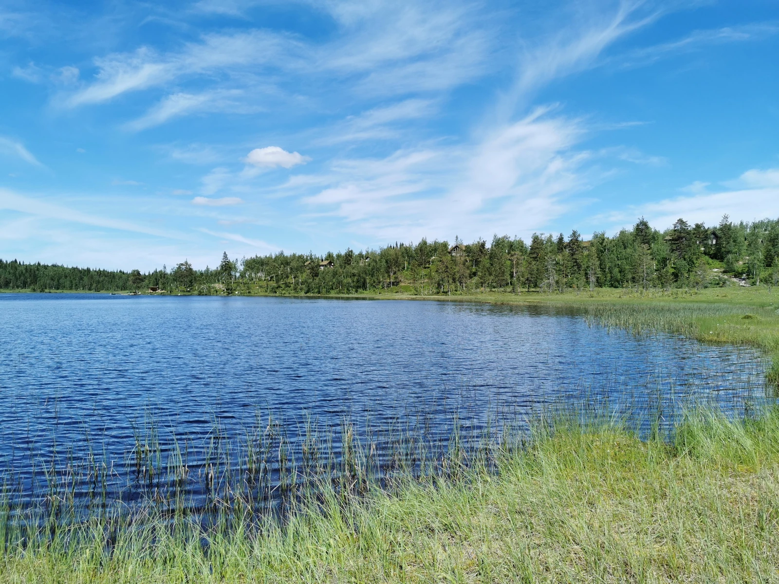 Idylliske Killingtjern Galleribilde
