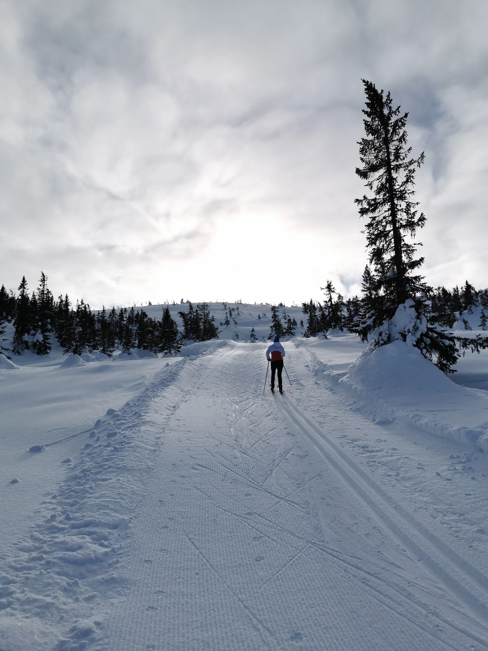 Skiløypene på Vikerfjell Galleribilde