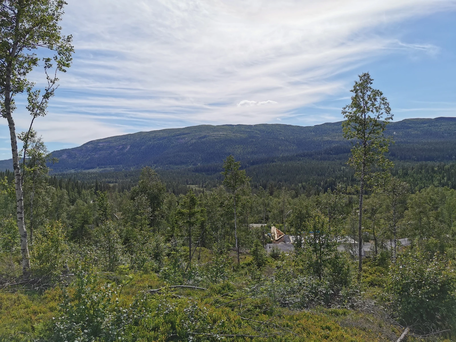 Fantastisk utsikt fra tomtene mot vest Galleribilde