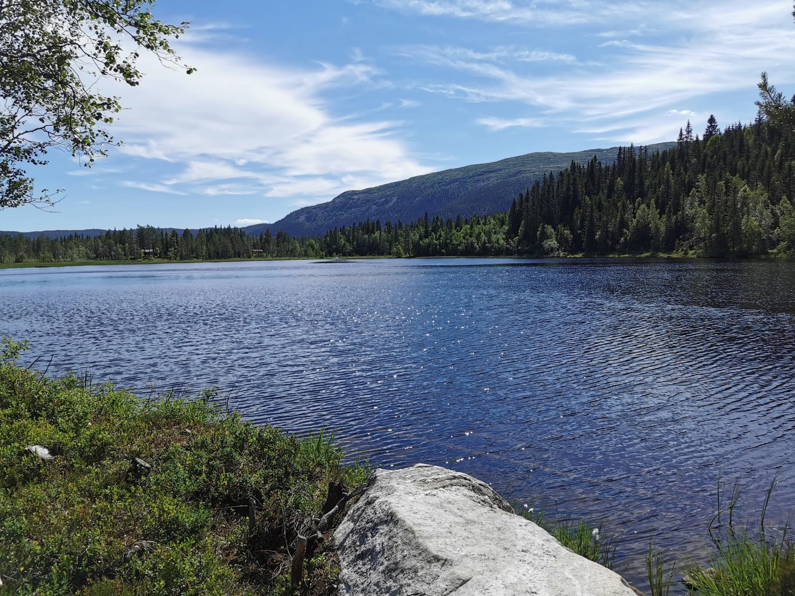 Dette er utsynet du har når du sitter i gapahuken med en varm kopp kaffe. Galleribilde