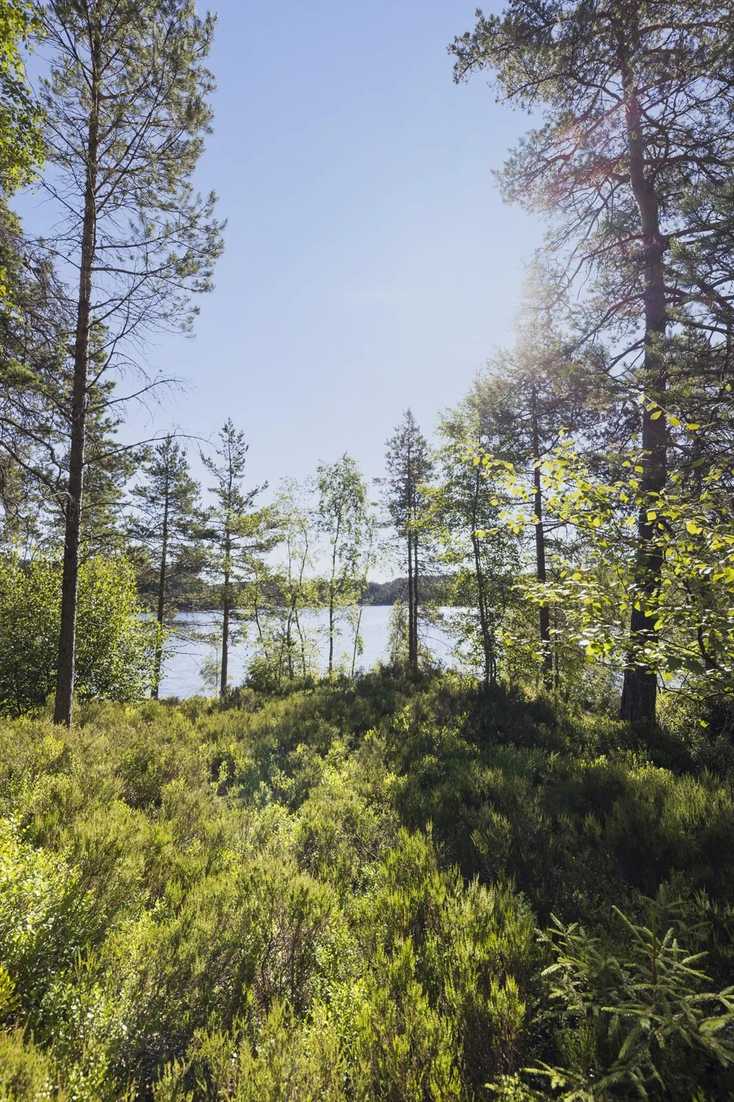 Områdebilde Galleribilde