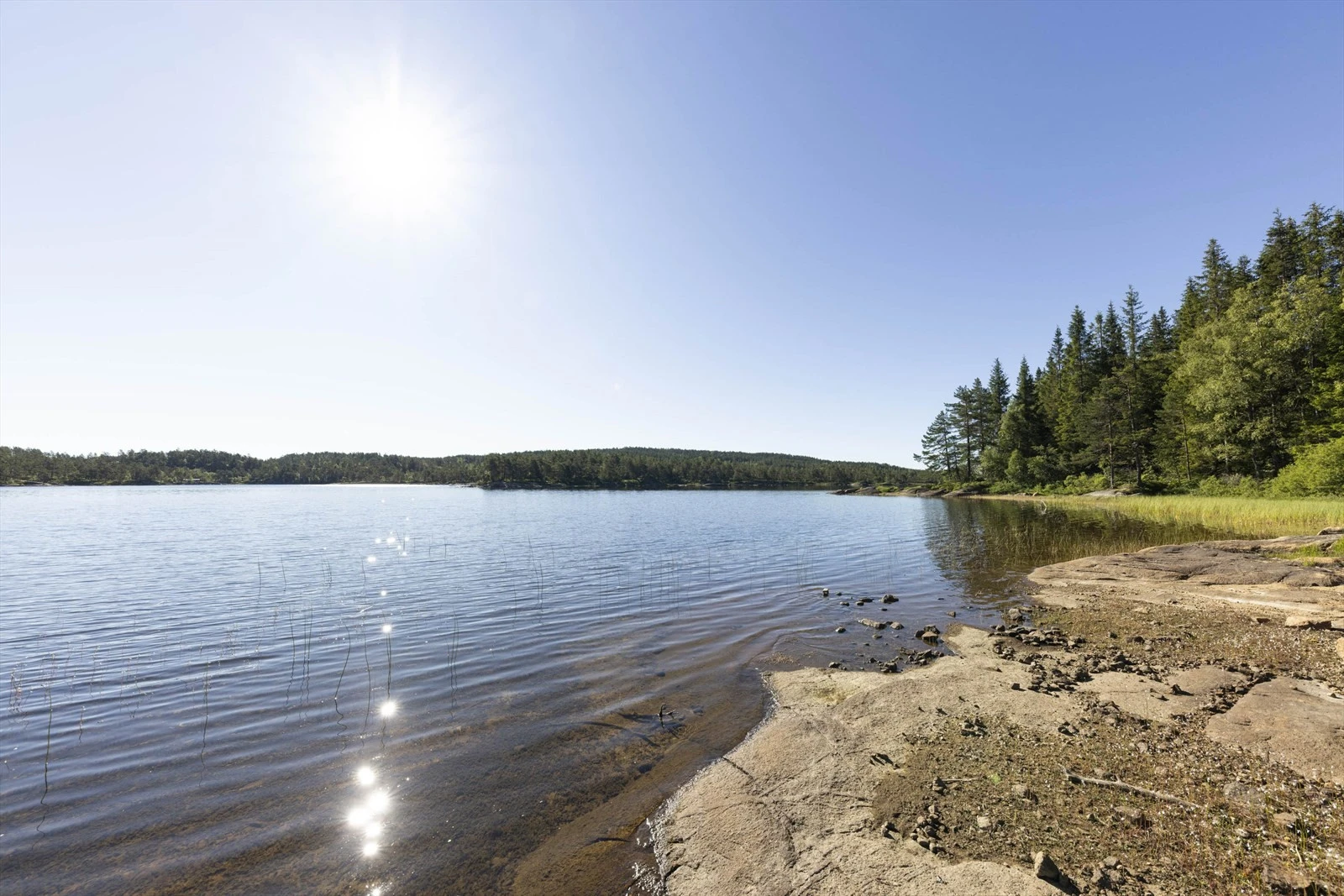 Områdebilde Galleribilde