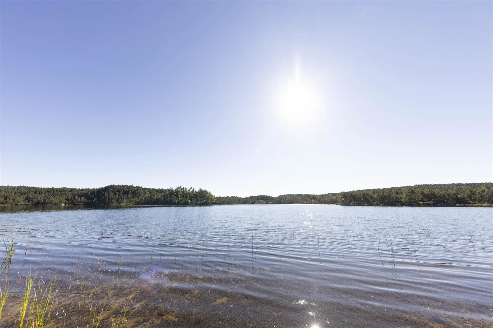 Områdebilde Galleribilde