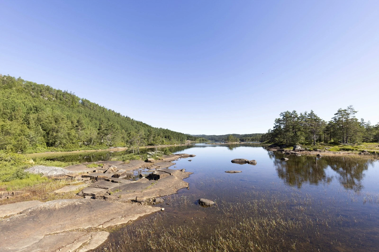 Områdebilde Galleribilde