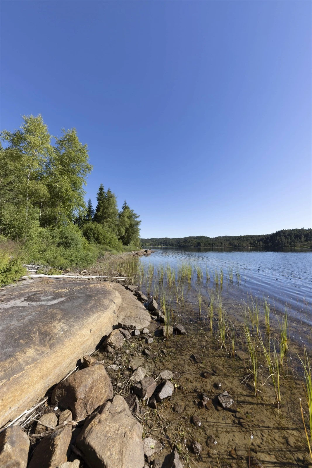 Områdebilde Galleribilde