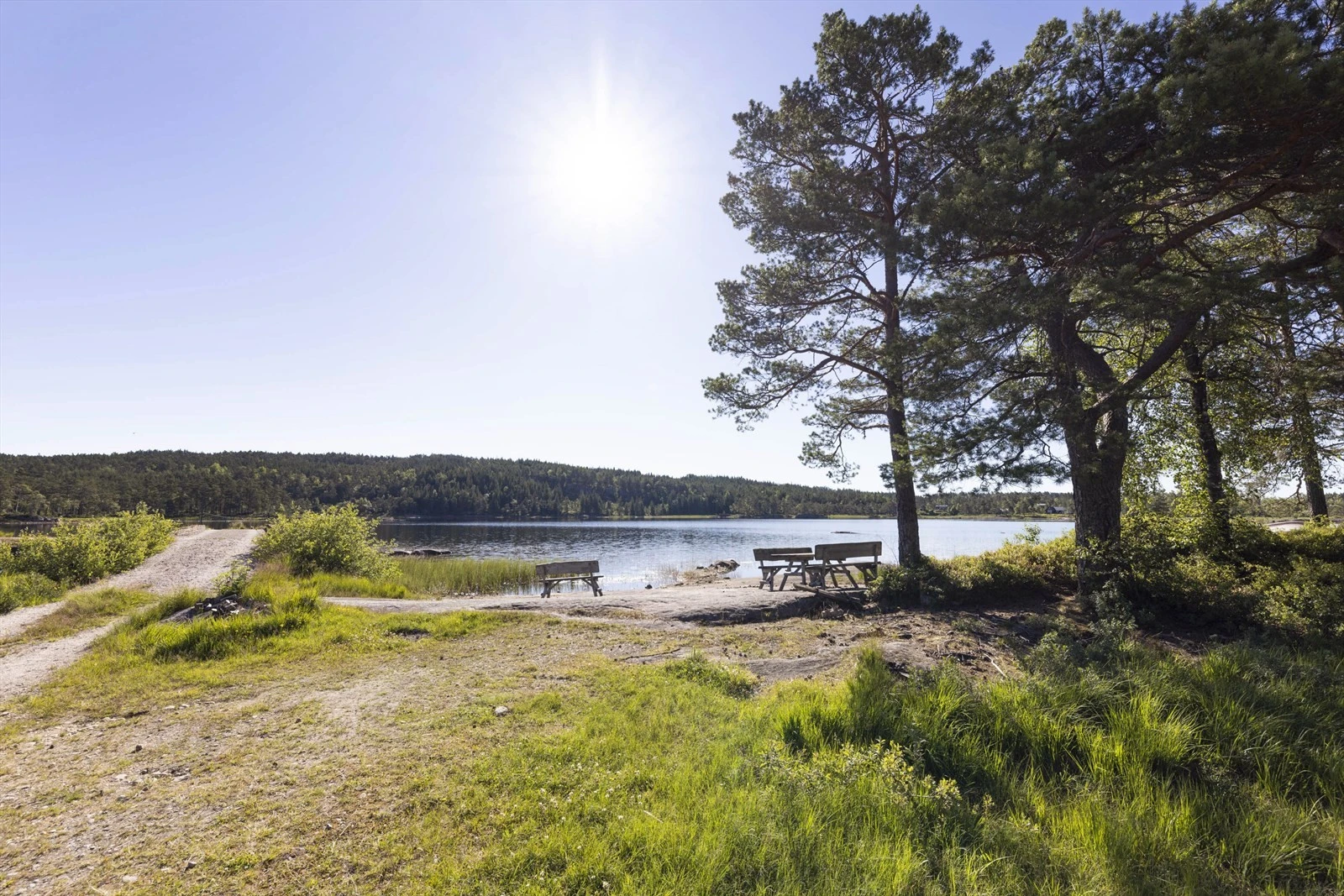 Områdebilde Galleribilde