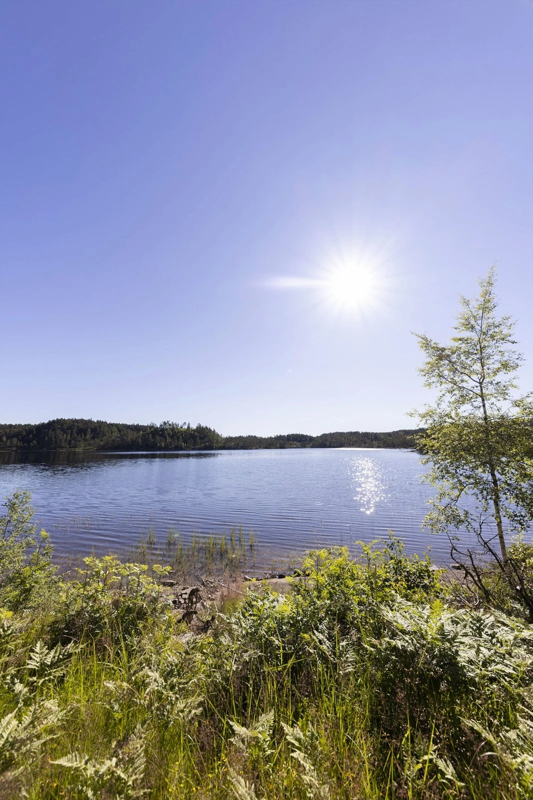 Områdebilde Galleribilde