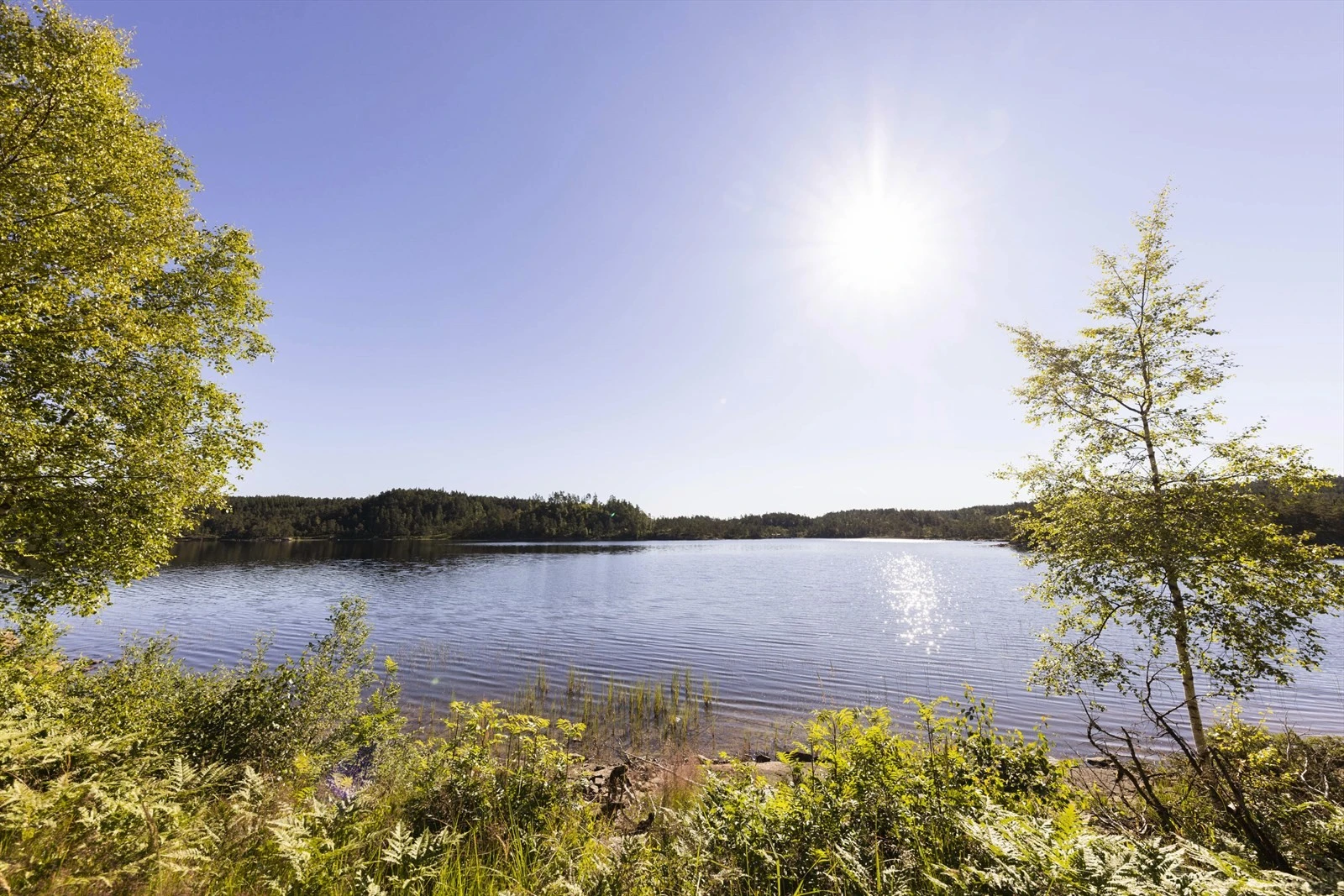 Områdebilde Galleribilde