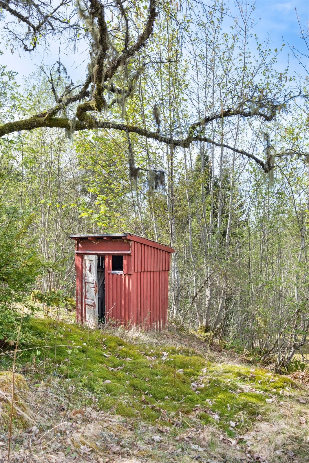 Velkommen til Vasstrandvegen 85 - Presentert av Notar v/Espen Johansen Galleribilde