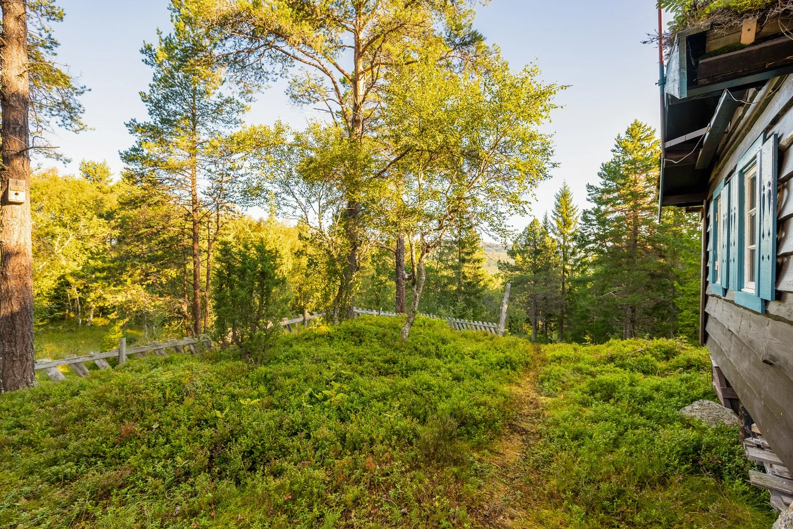 Jerpstosæterveien (21).jpg Galleribilde