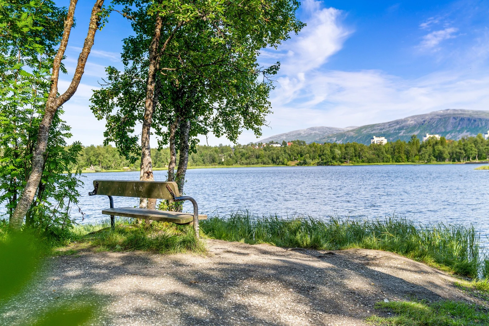 Det er også kort vei til Prestvannet med stier og sittebenker Galleribilde