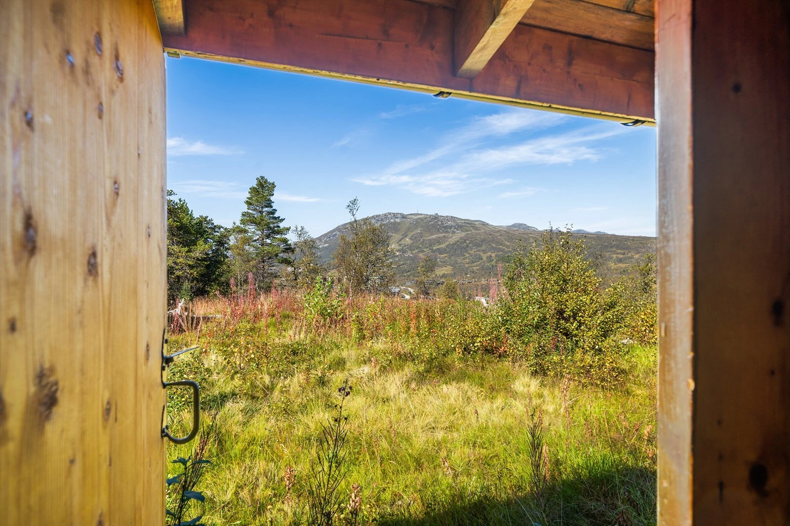 Velkommen til Hartevasslii 24 Galleribilde