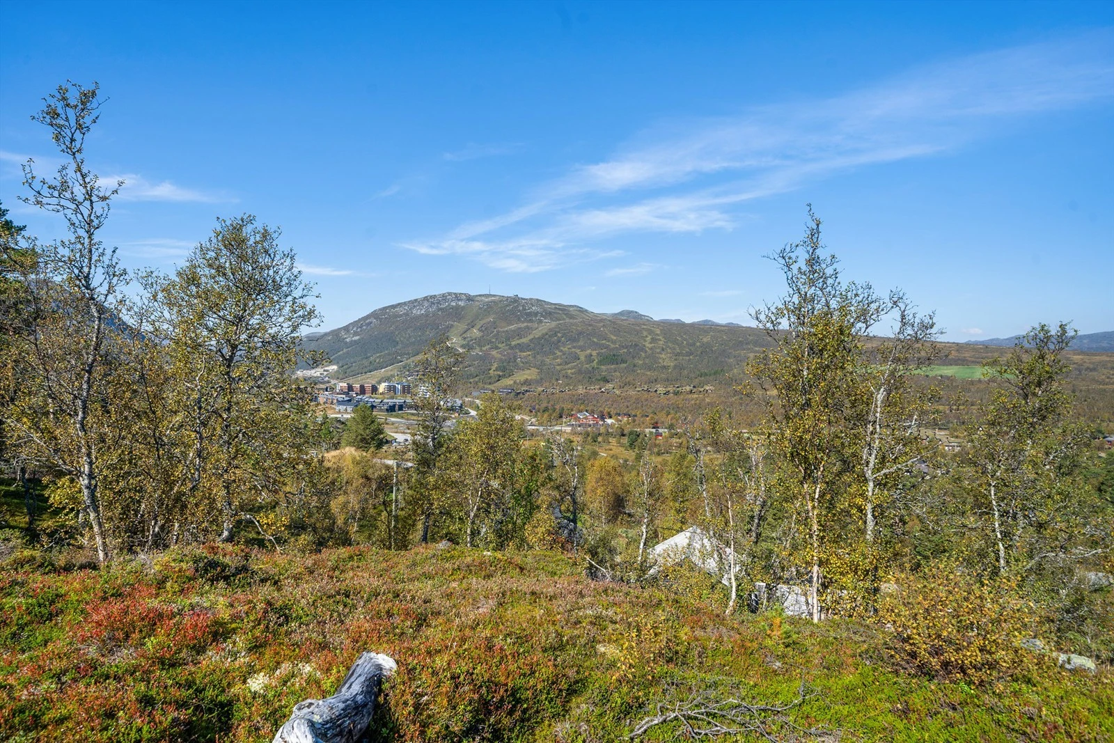 Utsikten mot skisenter og Vidmyr fra uteplassen. Galleribilde