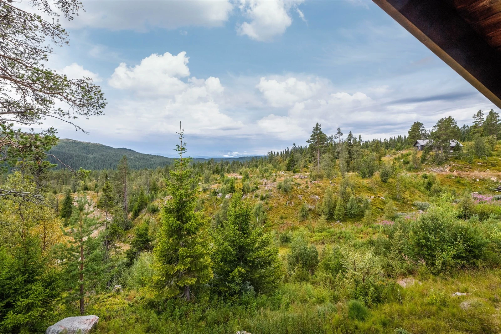 Området er et glimrende utgangspunkt for den som søker friluftsliv og naturopplevelser, med nærhet til en rekke flotte turområder, skiløyper, fiskevann og jaktområder. Galleribilde