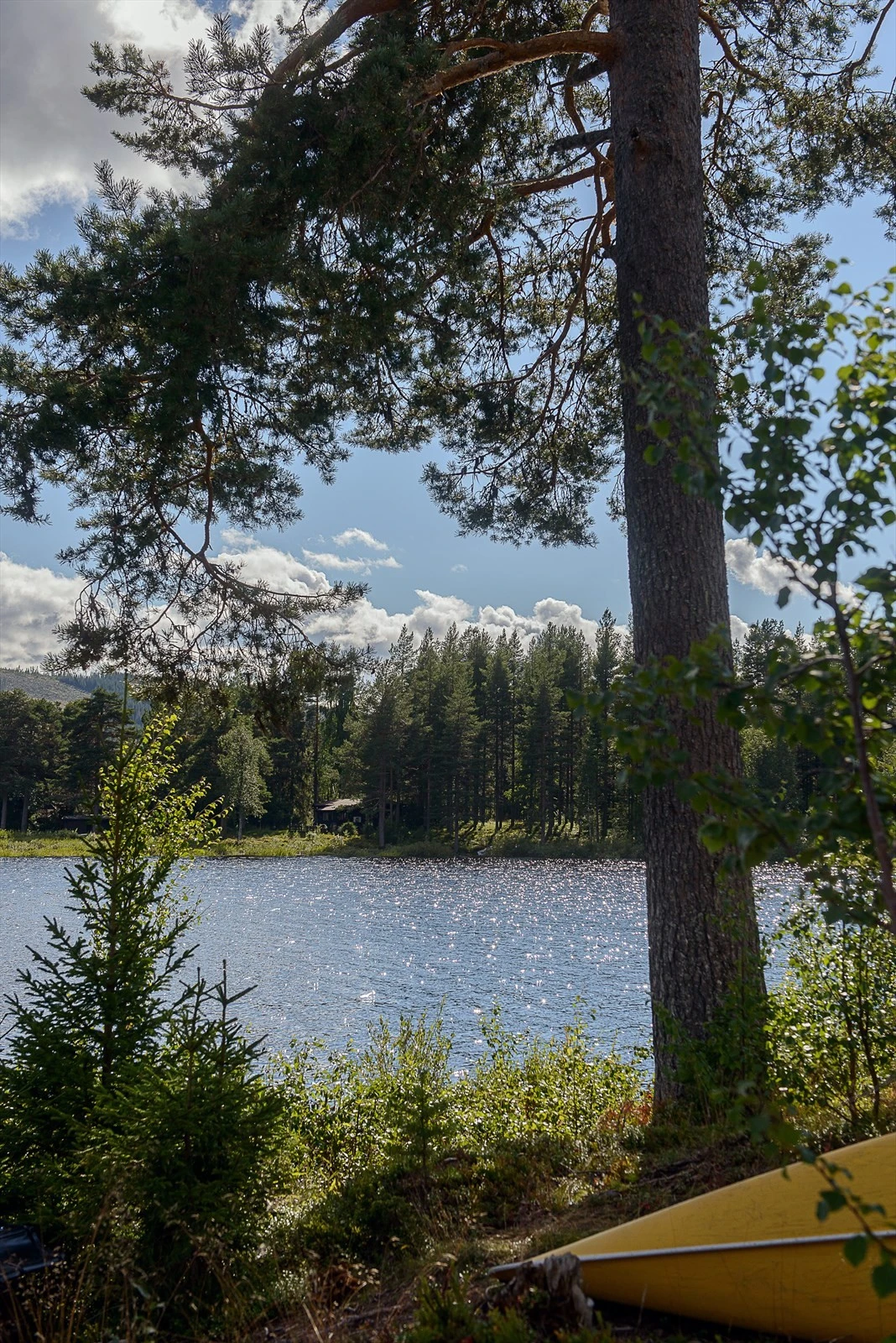 Sommeridyll ved vannet Galleribilde