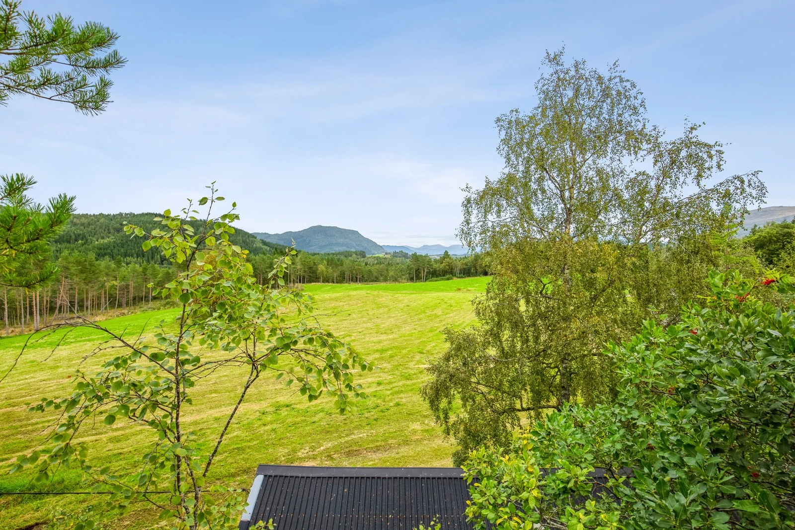 Utsikt fra eiendommen Galleribilde