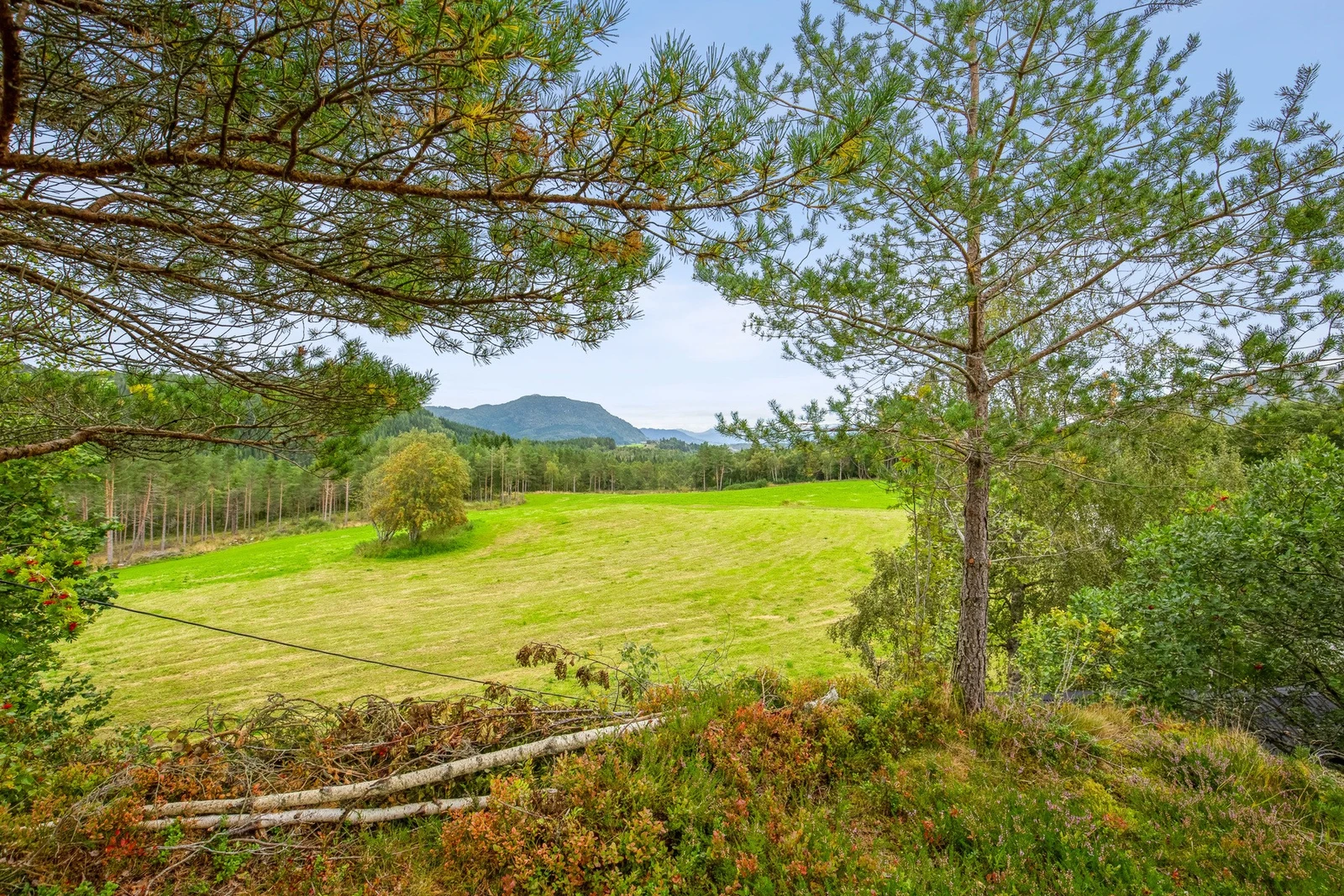 Utsikt fra eiendommen Galleribilde