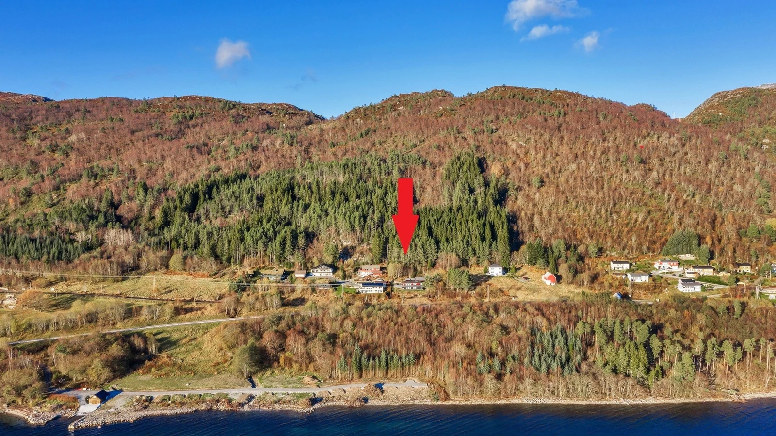 Velkommen! Galleribilde