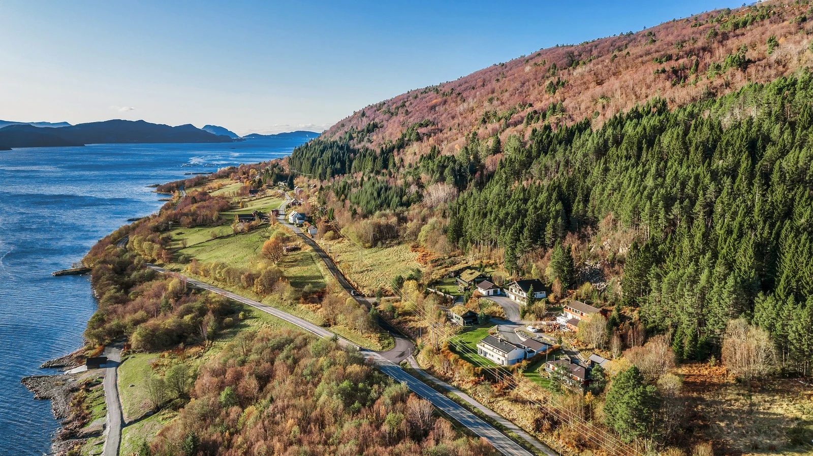 Området. Galleribilde