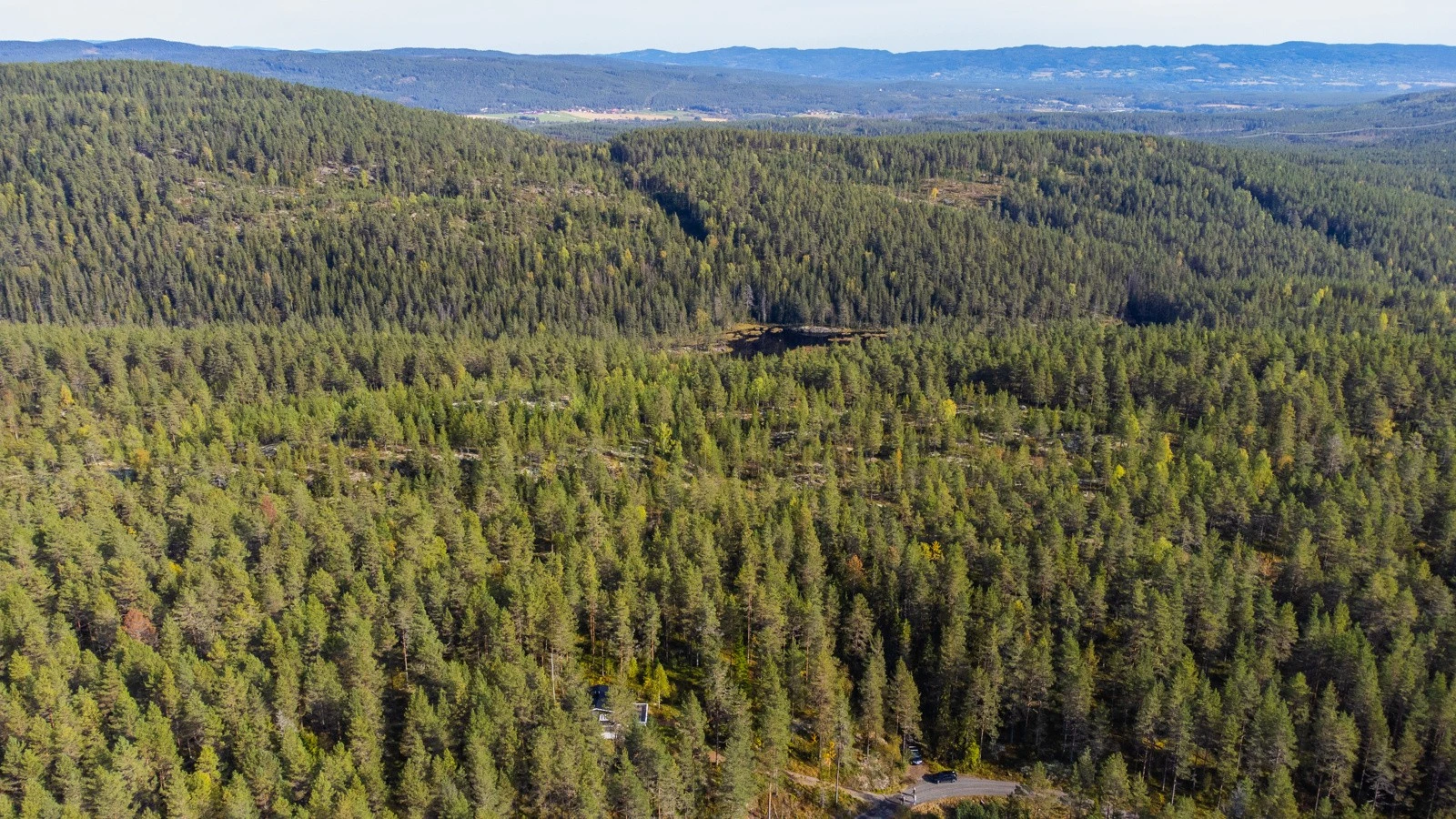 Områdebilde Galleribilde