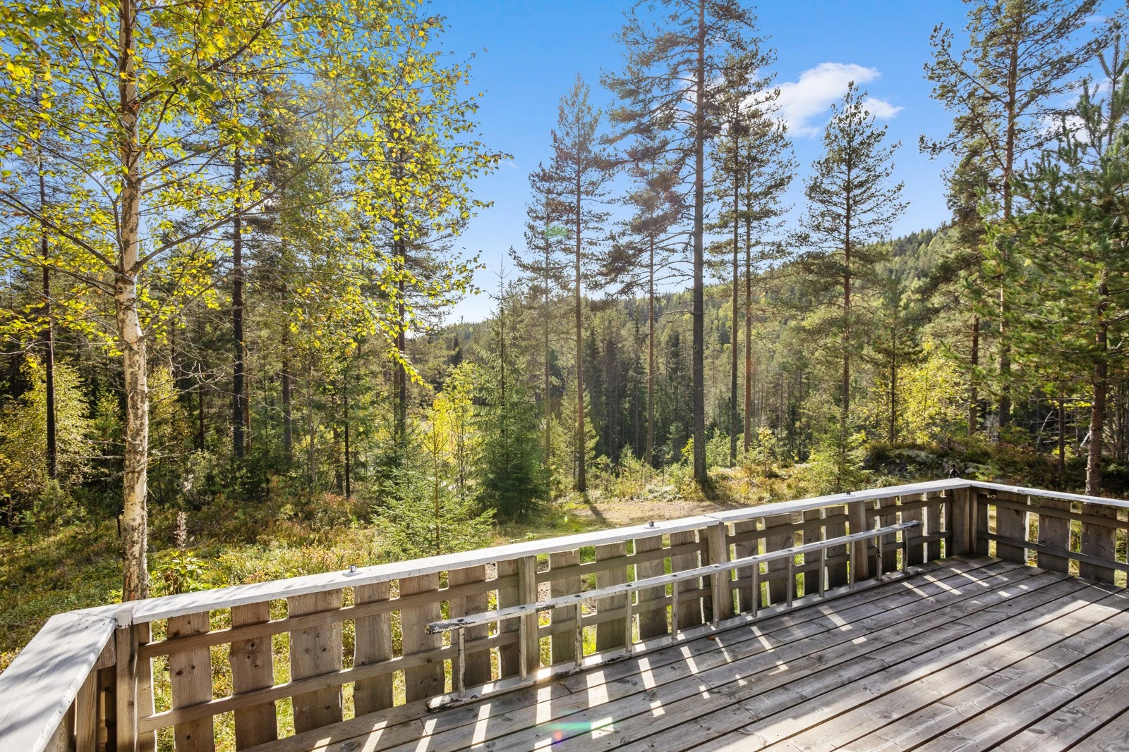 Stor terrasse med flott utsikt mot fin naturtomt og skogen Galleribilde