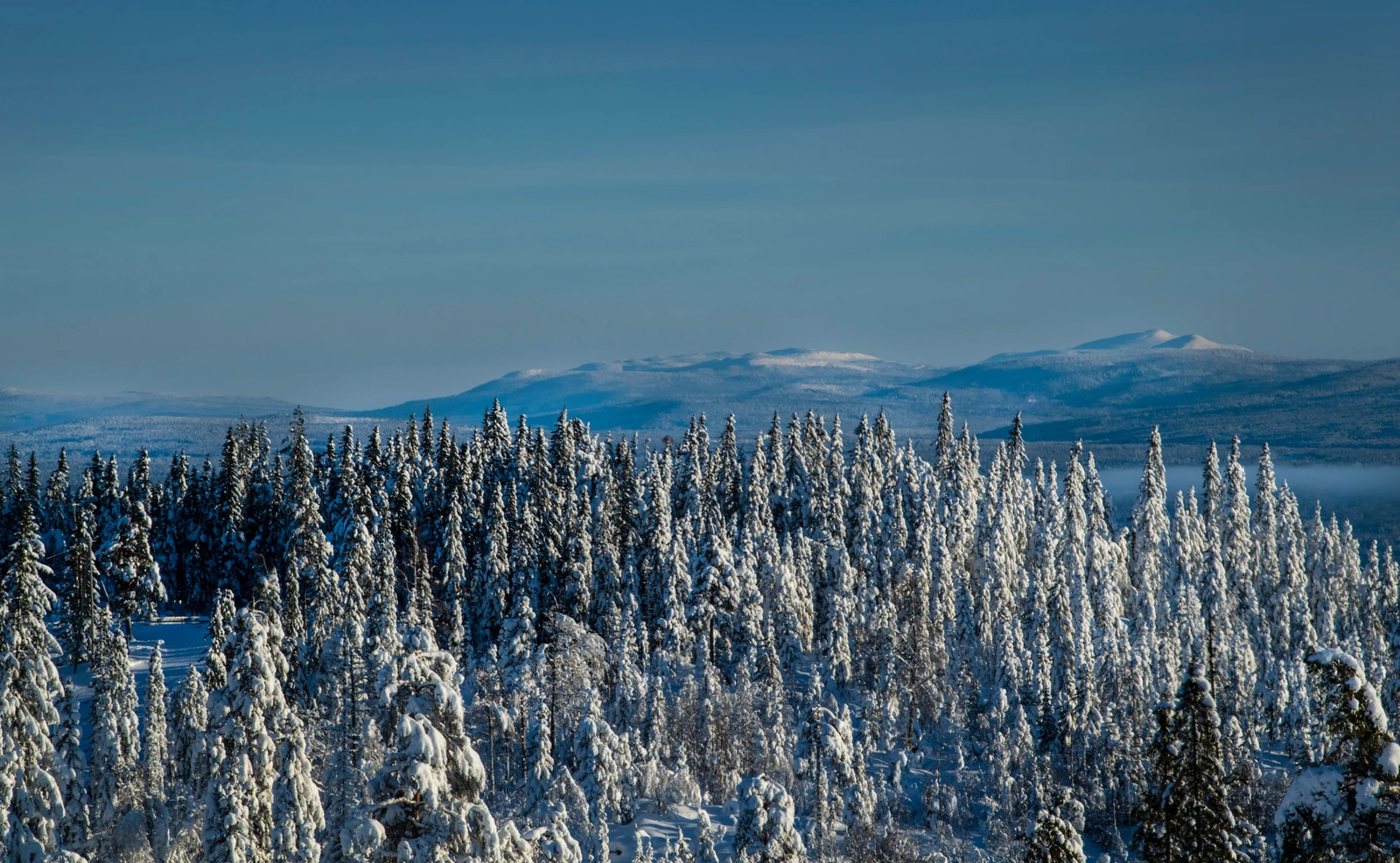 Utsikt til en rekke fjell fra Birkenåsen. Galleribilde