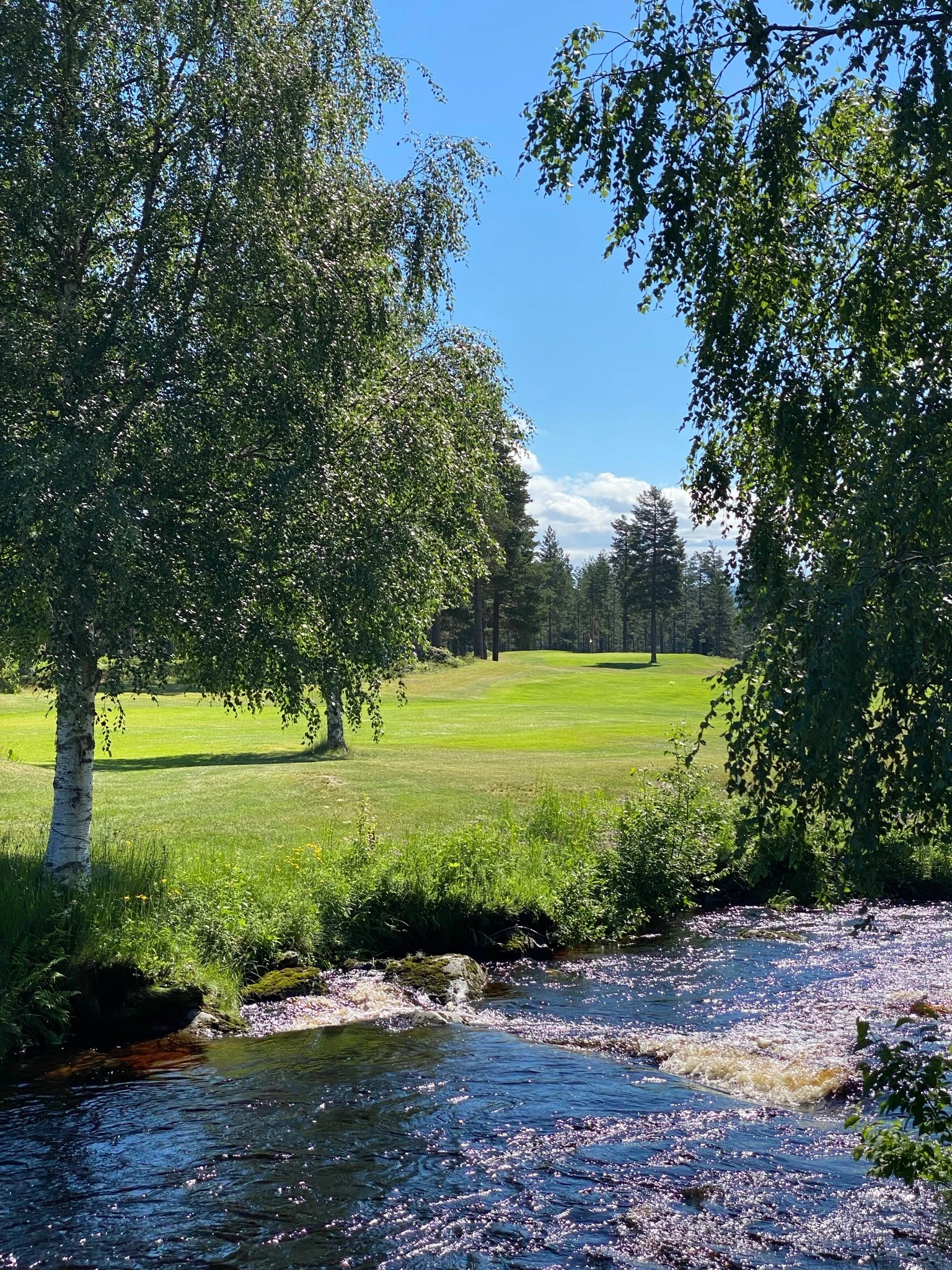 18-hull golfbane ved foten av Birkenåsen. Galleribilde