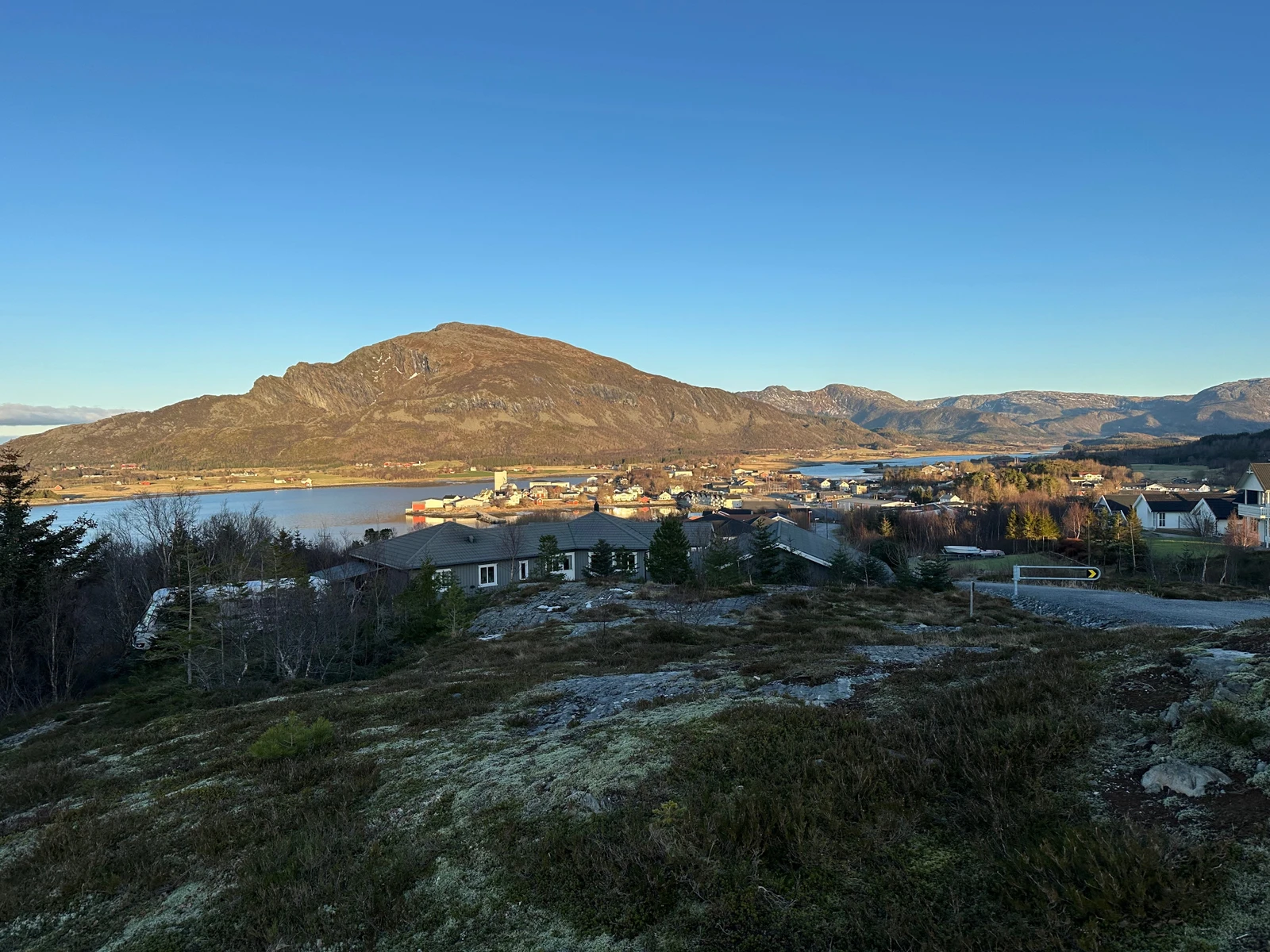 Foto på tomta, mot Nord, Januar 2025 Galleribilde