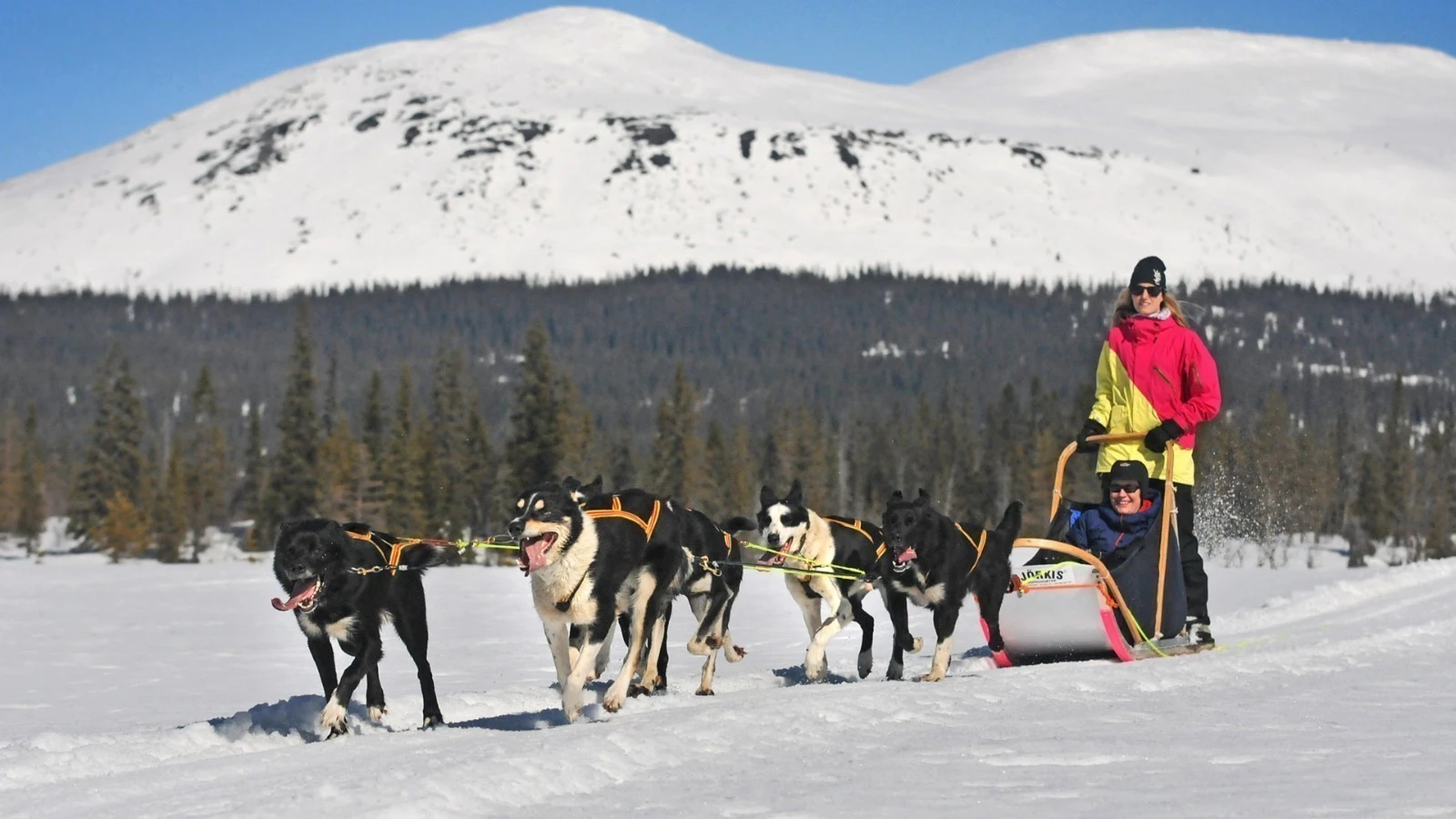 Turer i nærmiljøet Galleribilde