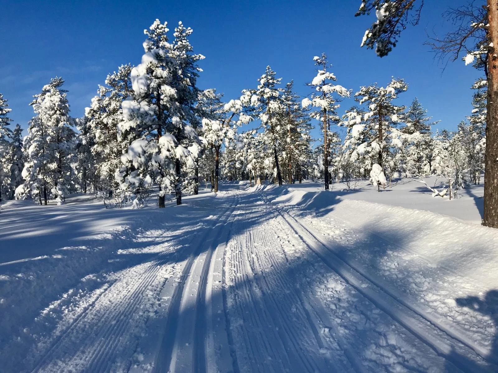 Tett på flott turterreng og milevis med oppkjørte skiløyper Galleribilde