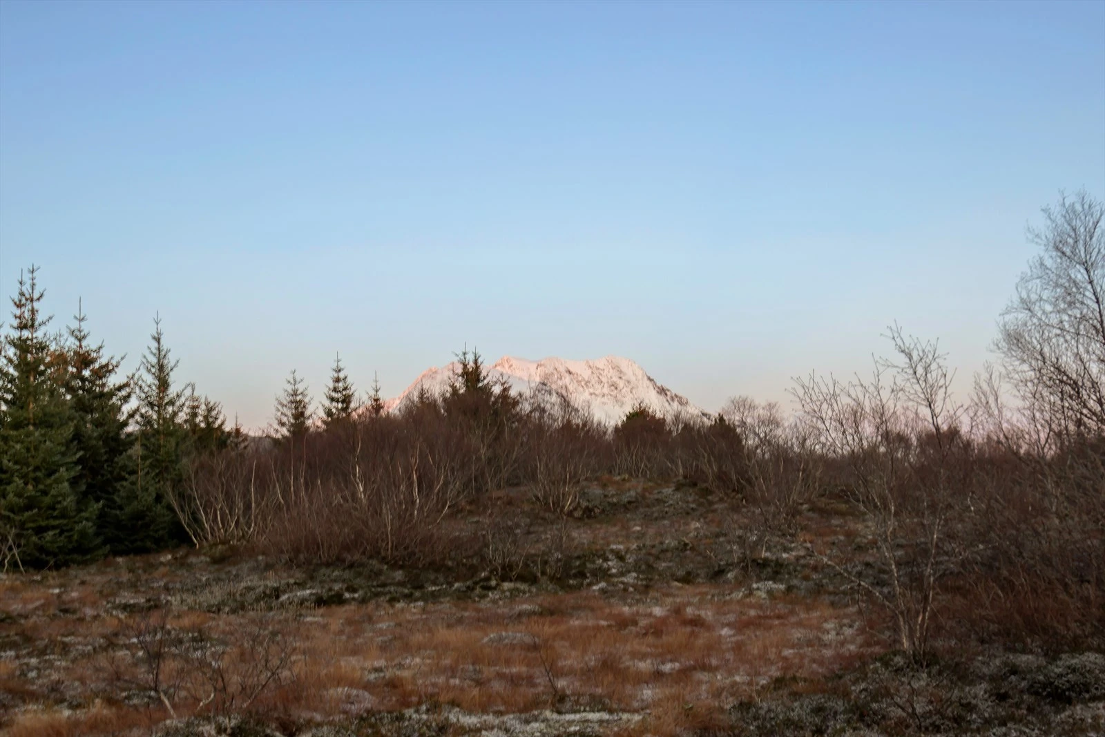 Deler av tomtearealet mot nord, det er Dønnamannen som sees i bakgrunnen. Herfra og ned til vannkanten er det forholdsvis kort vei, da kommer man til Kippervika. Galleribilde
