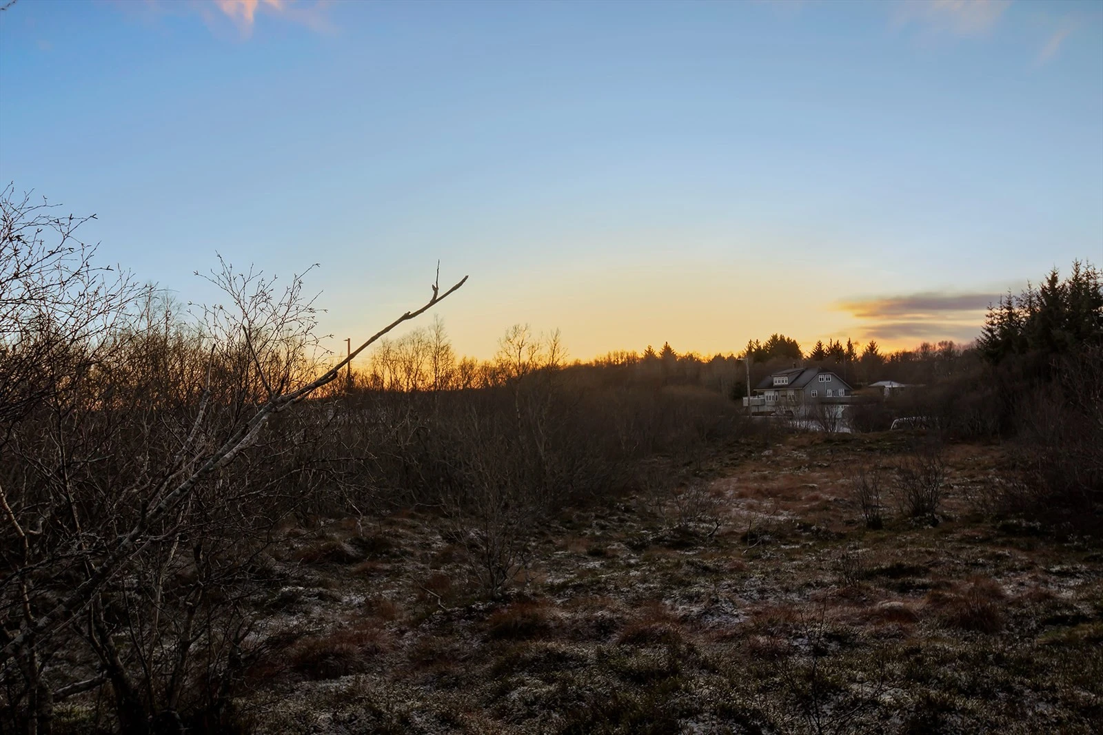 Noe av tomtearelet mot sør. Galleribilde