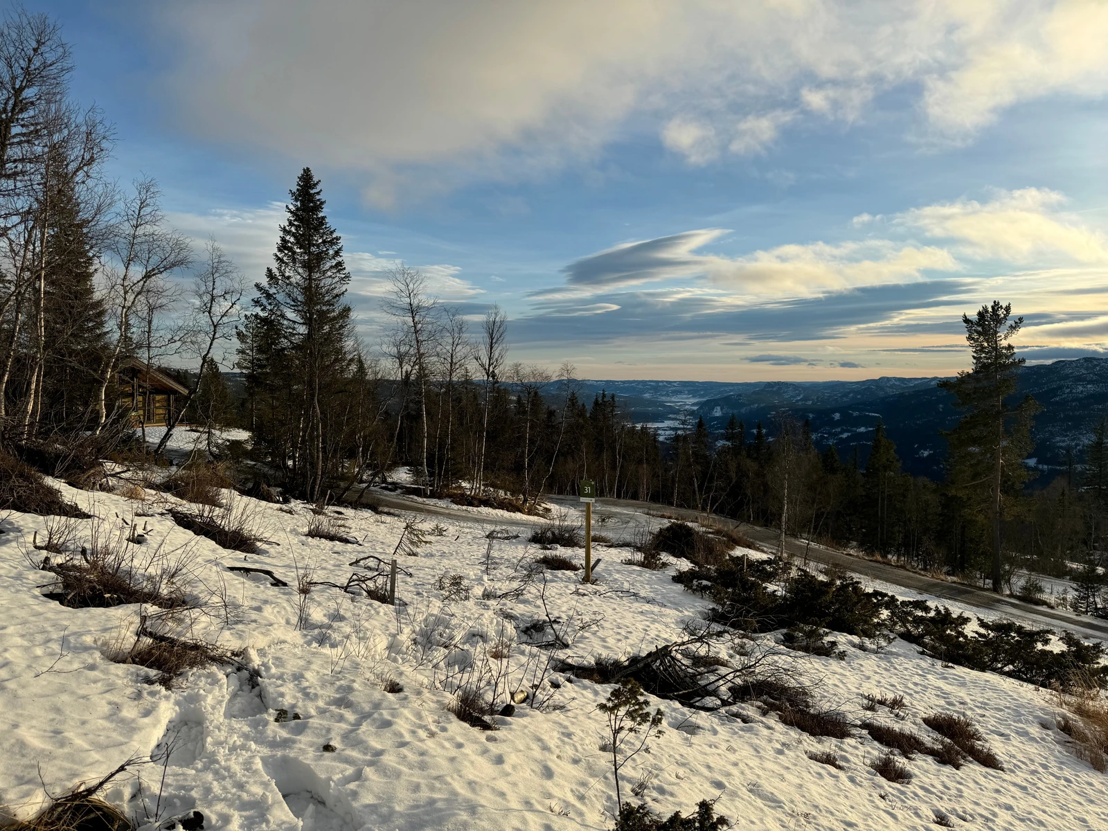 Tomt 31 Galleribilde