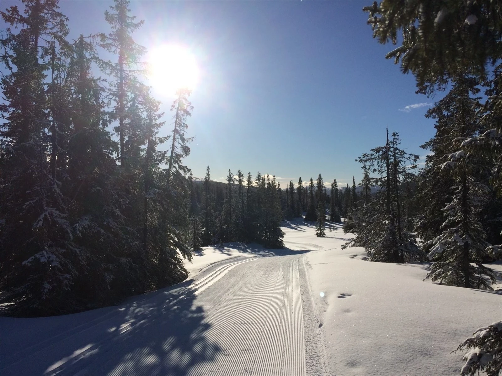 Maskinpreparerte skiløyper like ved, det er mulighet for scootertransport vinterstid Galleribilde