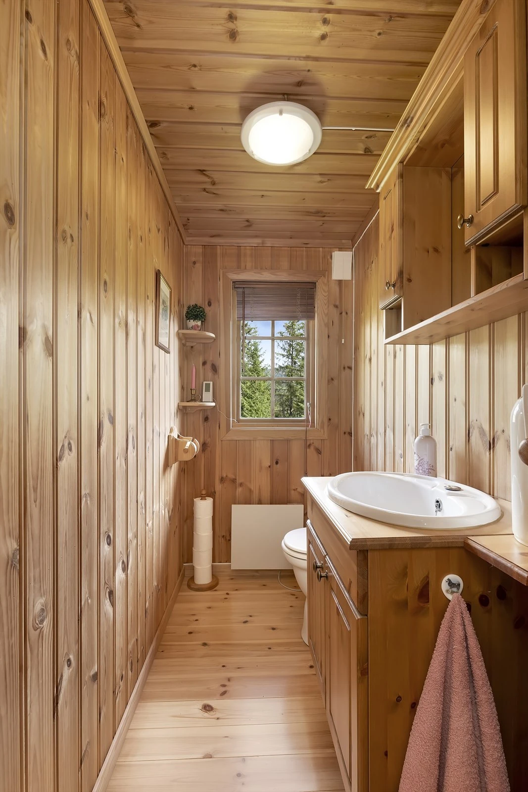 Toalettrom med muldo og kammer under hytta Galleribilde