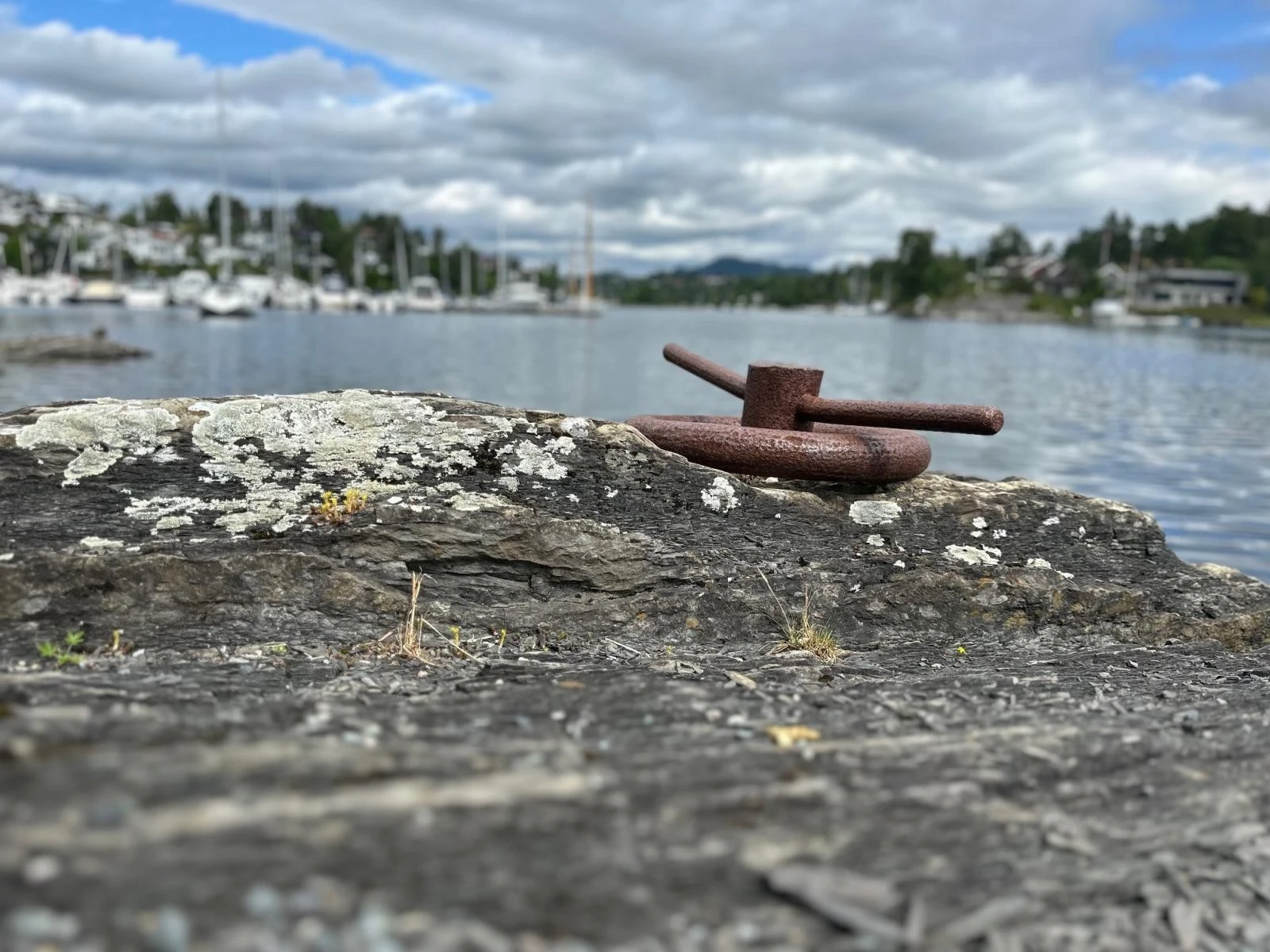 Sommeridyll er lett å spore opp på Landøya Galleribilde