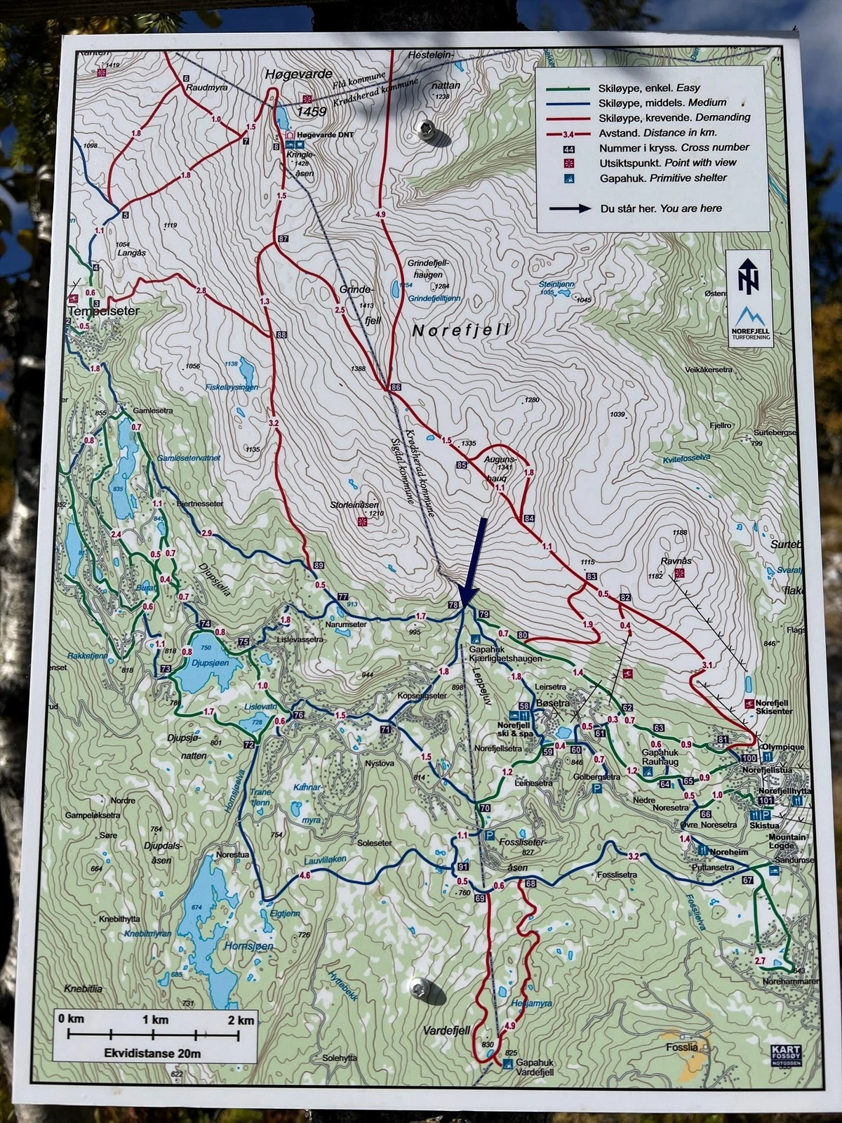 Løypenett - tur og langrenn. Galleribilde