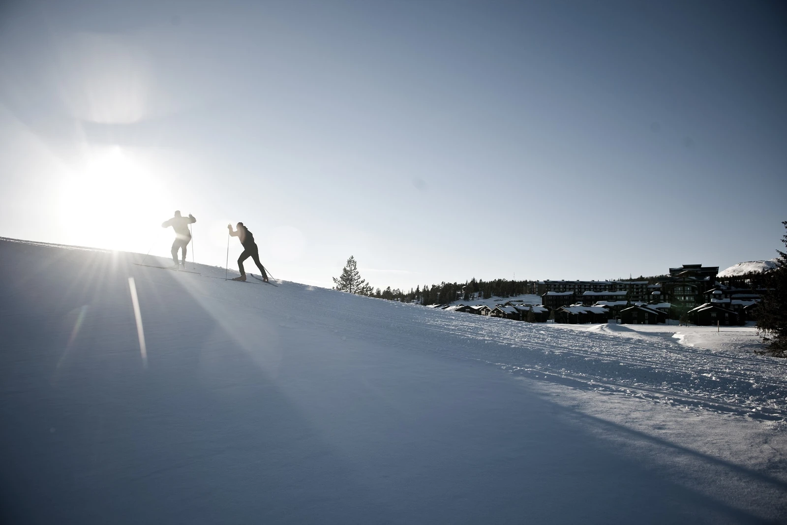 Norefjell er et skieldorado, både for alpint og langrenn. Galleribilde