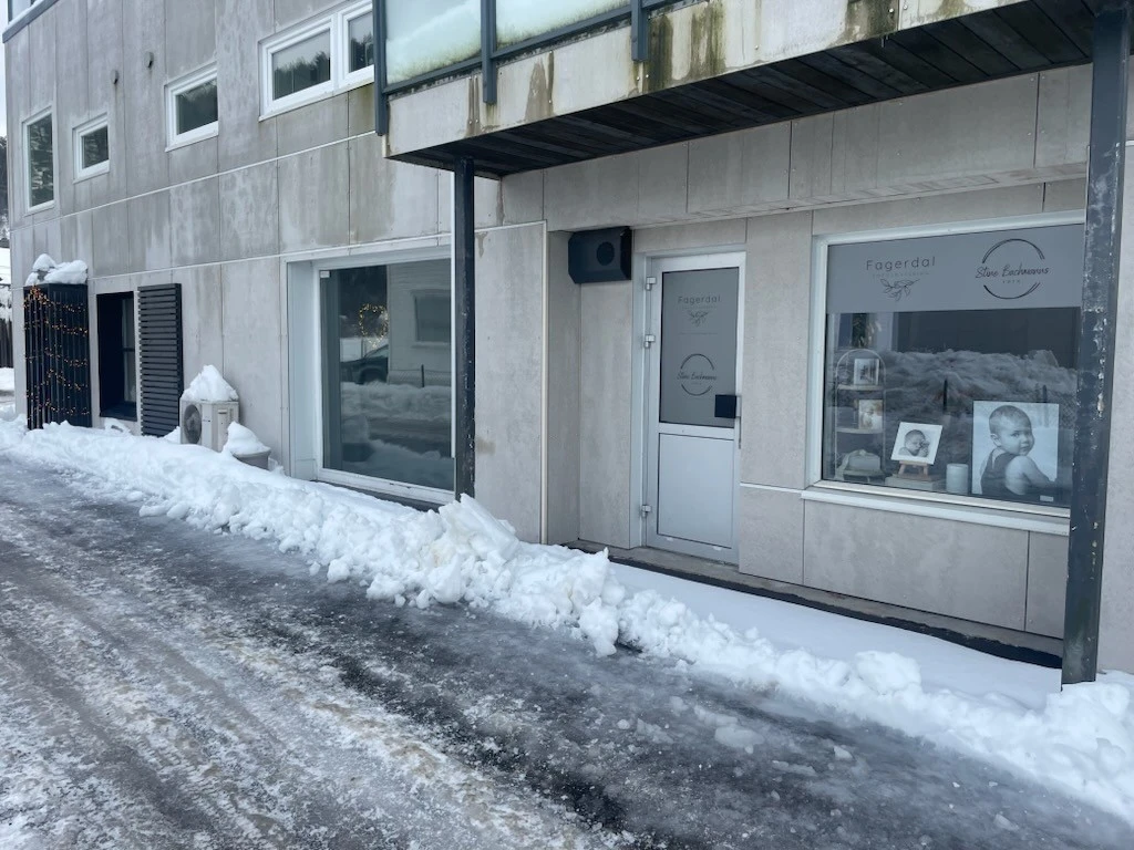 Inngangsparti. Galleribilde