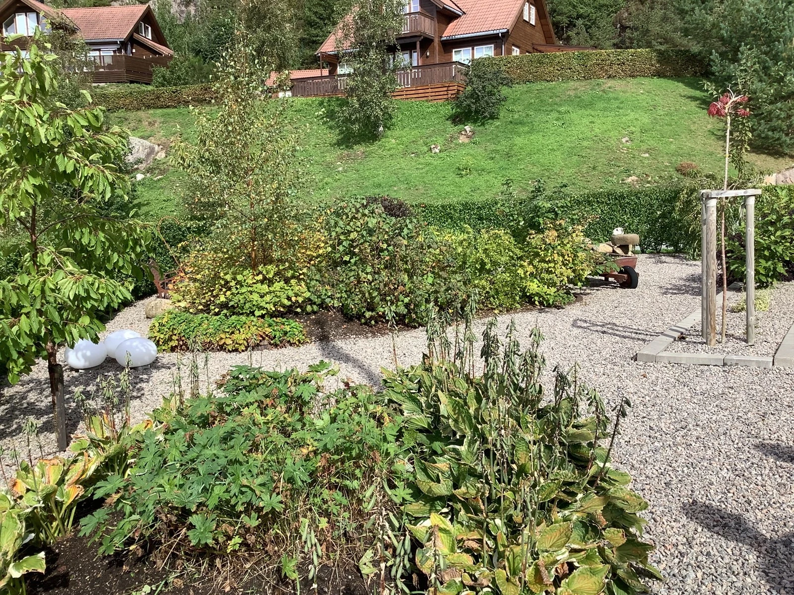 IMG_5206.jpeg Galleribilde