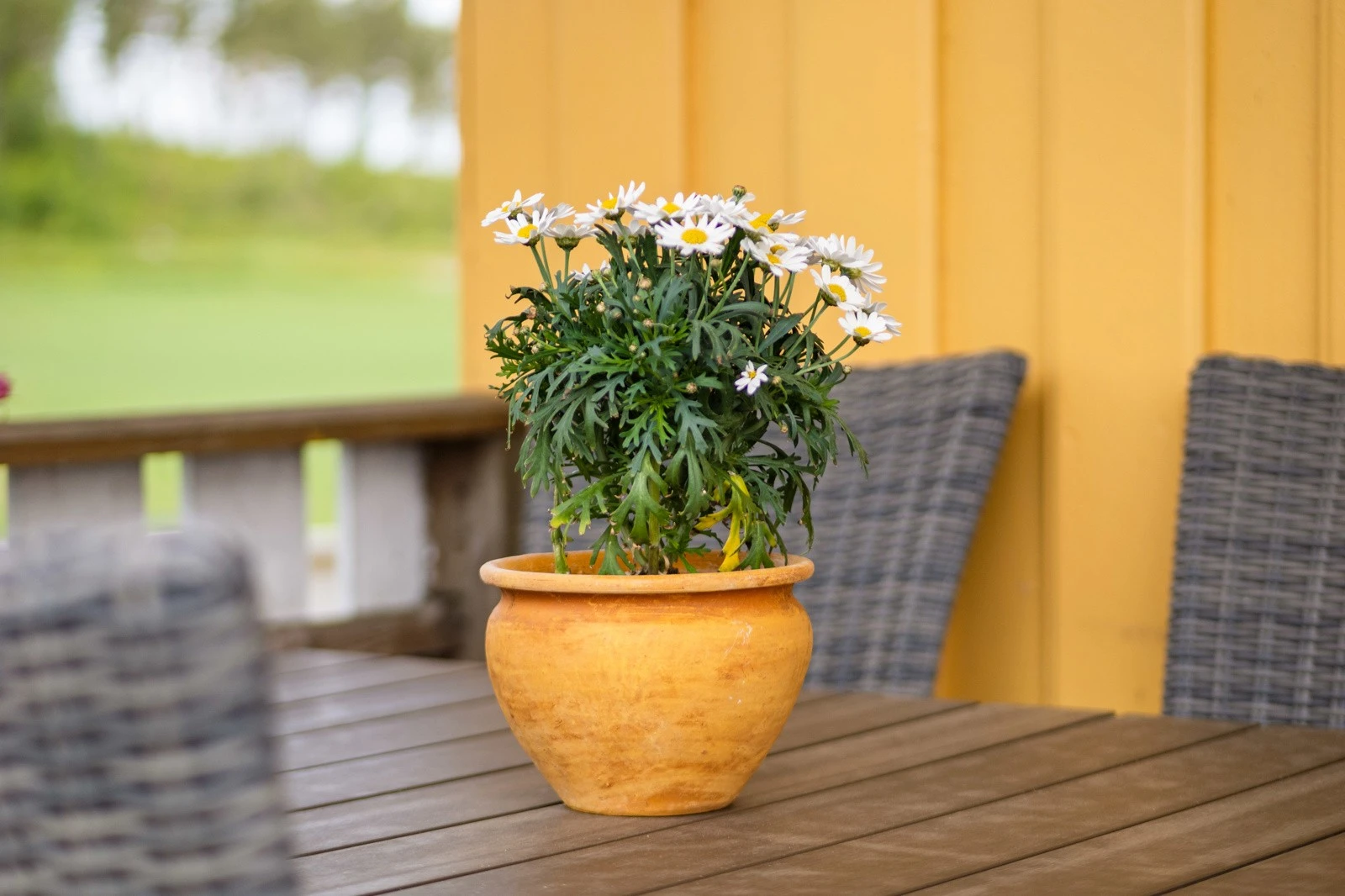 Stuen har utgang til en sydøstvendt og delvis overbygget terrasse på ca. 34 kvm. Galleribilde