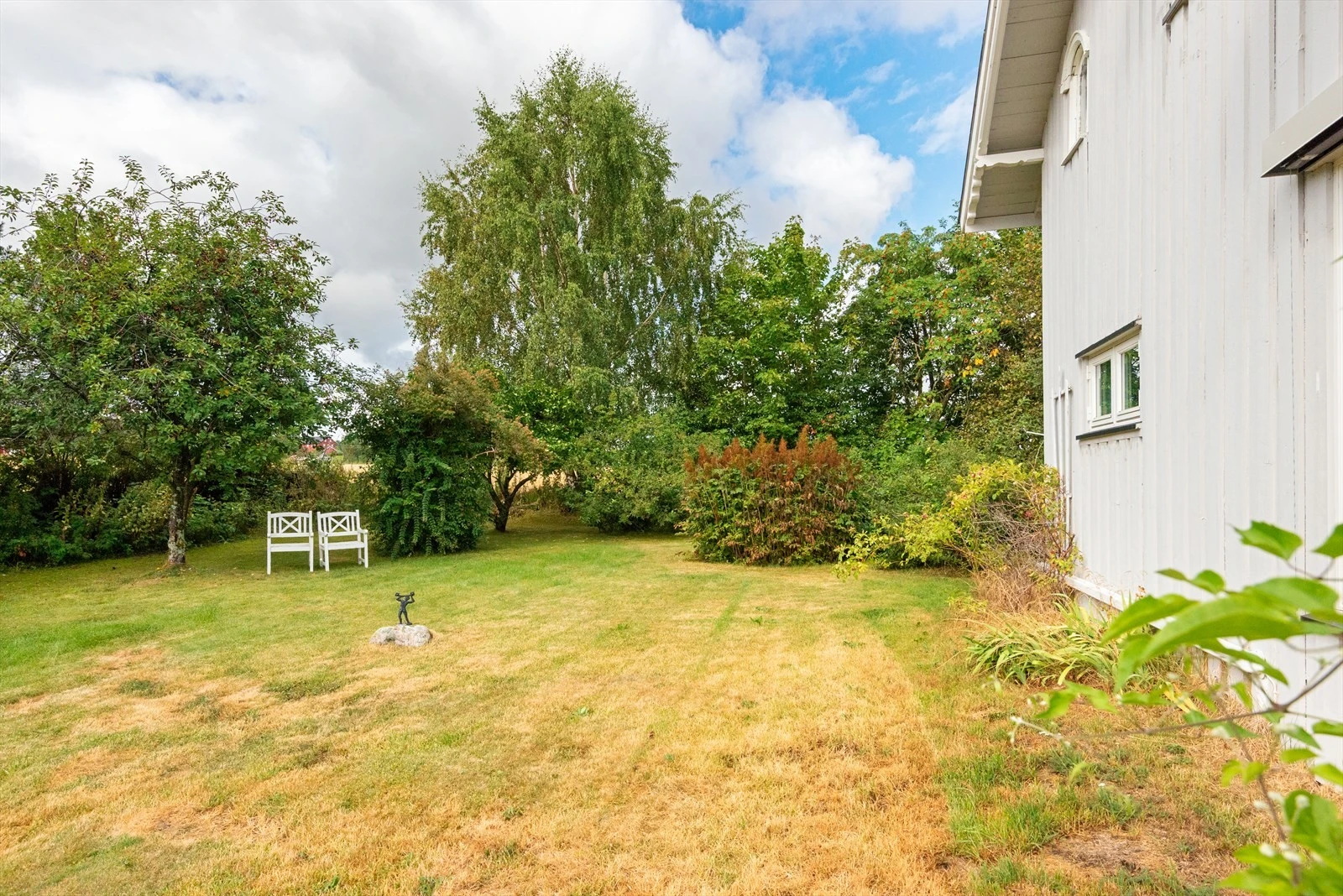 Hage med fine solforhold Galleribilde