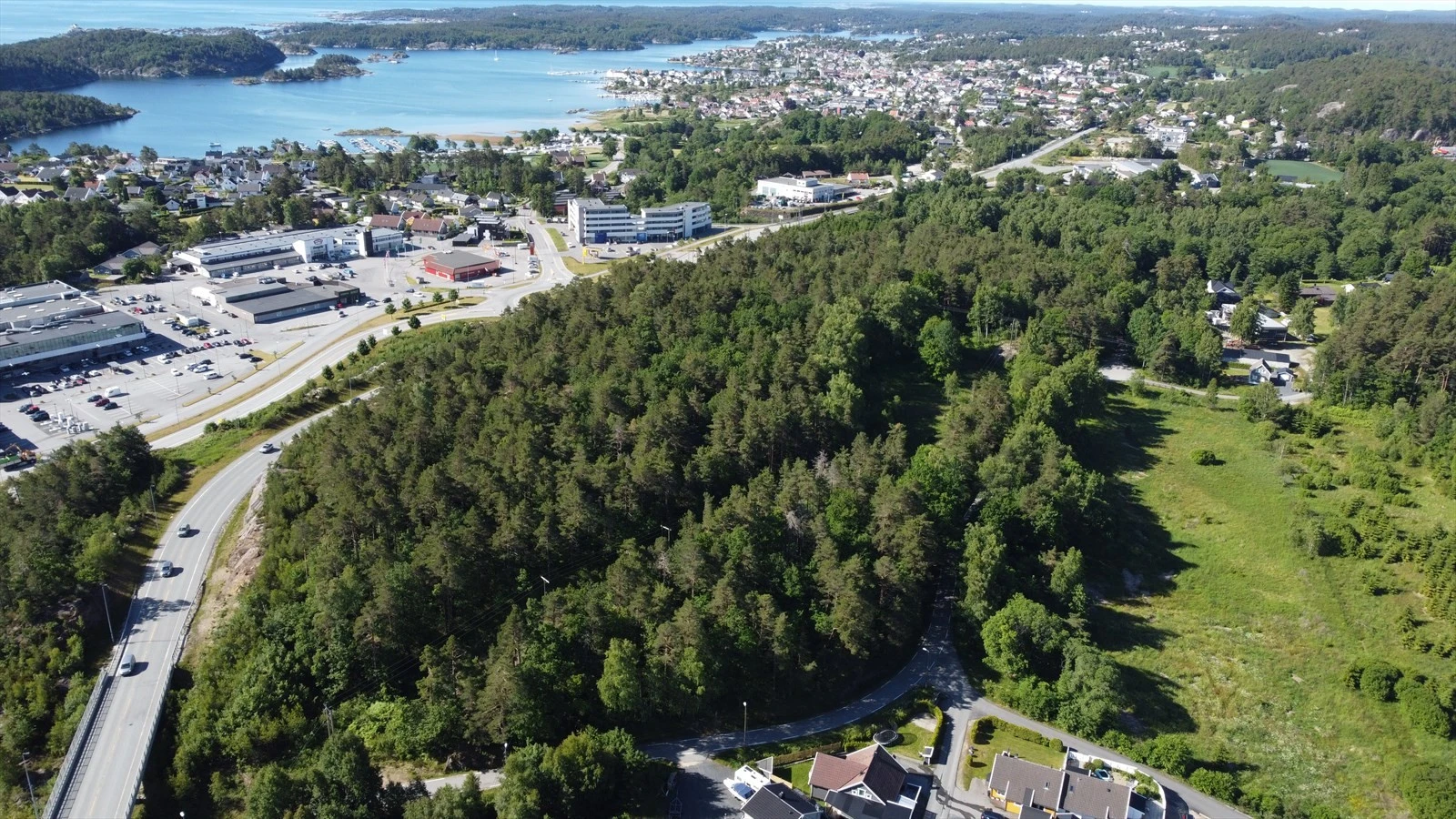 Området sett fra nord, før deler av vegetasjon ble fjernet. Galleribilde
